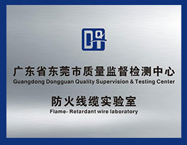 Guangdong Province Quality Inspection For 
Flame Retardent Wire Laboratory
