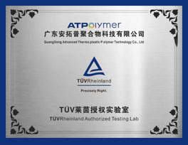  TUV Rheinland Authorized Testing Laboratory
